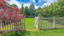 Panorama,Whispy,White,Clouds,Backyard,With,Picket,Fence,And,Gate