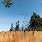What Are The Benefits Of Wood Plank Fencing?