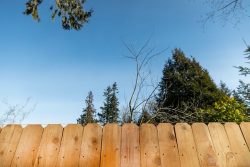 Wood,Pickets,On,Cedar,Fence,With,Leveling,String,Above,And